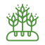 Food Commodities & Feeds